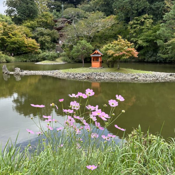 一斉御開帳ツアー🚌 画像